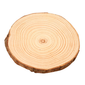 Copeaux de bois ronds en sapin - Product Image 5