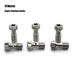 Offre Spéciale gr5 simple <span class=keywords><strong>Banjo</strong></span> titane boulon M10 x 1.0/M10*1.25 titane probolt course moto pièces cnc pièces - Product Image 3