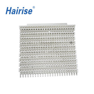 Hairise Plastic Modulaire Transportbanden Flush Grid Plastic Modulaire Band voor Koellijn - Product Image 6
