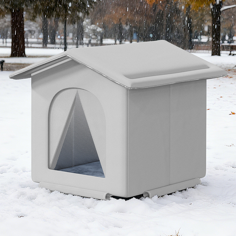 Refuge pour chats errants