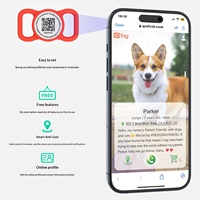 Personalisierte Anti-Verlust-Geräuschlose Katzen- & Hundemarken mit QR-Code-Scanning, umweltfreundliches Anhänger-Halsbandzubehör mit Schnalle