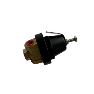 นิวแมนนี่ 02250046-568 วาล์วลดแรงดันโลหะ - Product Image 6