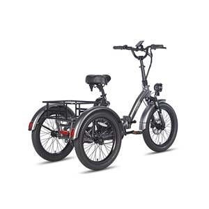 Triciclo Eléctrico FAFREES F20 con Motor de 500W, Capacidad de Carga de 180 kg, Alcance de 110 km, Diseño Plegable, Color Negro Gunmetal, Homologado para la UE - Product Image 6