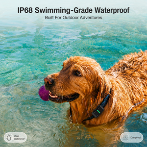 Traceur <span class=keywords><strong>GPS</strong></span> pour chien et chat avec logo personnalisé, Cat M1 NB-IoT Satellite GNSS Galileo, avec lumière LED et surveillance de l'activité - Product Image 6