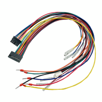 Arnés de cables personalizado de fábrica 2x10 2x6 Pin 2,54mm Conector de paso Puente de altavoz de coche Cable de montaje de arnés de cableado