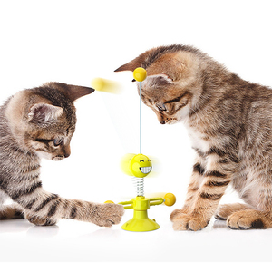 Nuovo Arrivo: Giocattolo Interattivo per Gatti con Palla a Molla in TPR Ecologico - Divertente e Resistente Gioco per Gatti per Gioco e Esercizio al Chiuso - Product Image 4