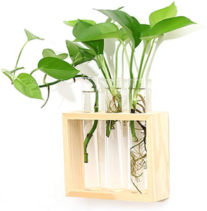 Tailai Plant Terrarium with Wood Stand Wall Hanging Live Plant Propagation Station Planters Glass Tubes Hydroponic Vase for Home