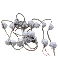 Module LED Pixel Étanche IP68 en Plastique pour Décoration Extérieure Permanente en Guirlande