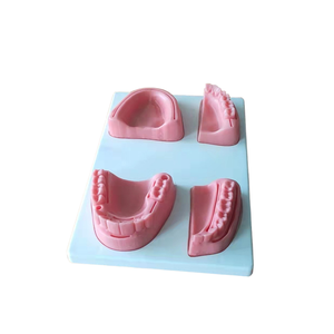 Medical Rootcare High Quality Anatomical Dental Surgery <b>Practice</b> Tool Medical-Grade Soft Silicone Oral Wound Suture <b>Pad</b> Dental - Product Image 1