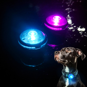 OEM Custom IPX7 Waterproof Rechargeable Plastic Pet Night Walking Running Safety Warning LED Flashing Blinker <strong>Dog</strong> <strong>Light</strong> - Product Image 1