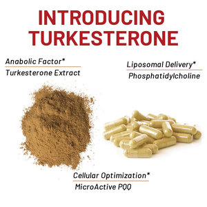 Cápsulas de Turkesterona J4 en Gel Suave con Extracto de Ajuga Turkestanica para Apoyo Muscular, 60 Cápsulas por Botella para Adultos - Product Image 2