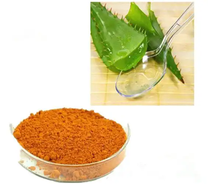 천연 알로에 베라 추출물 건강 보충제 알로에 에모딘 분말 98% 알로에 에모딘 저렴한 가격 - Product Image 1