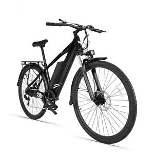 La <span class=keywords><strong>bicicleta</strong></span> eléctrica C3 está equipada con una batería de litio de 250W y 48V. - Product Image 6