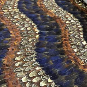 <span class=keywords><strong>Papier</strong></span> <span class=keywords><strong>peint</strong></span> Zhenling haut <span class=keywords><strong>de</strong></span> gamme luxueux <span class=keywords><strong>de</strong></span> couleur vert et gris en véritable <span class=keywords><strong>plume</strong></span> <span class=keywords><strong>de</strong></span> <span class=keywords><strong>paon</strong></span> naturelle pour la décoration murale intérieure - Product Image 2