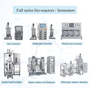 Ruiyuan-fermentador biológico, fermentador de microbiología, galactomyces, filtración de fermento - Product Image 2