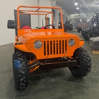 Mini Jeep 4x4 personnalisable couleur, faible coût, 300CC/250cc, mini buggy des dunes pour expéditions, base-camp et chasse