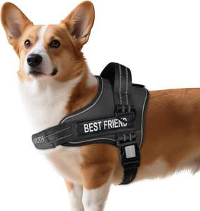 パーソナライズ カスタム ロゴ サドル型 ペット ハーネス 調節可能 引っ張り防止 オックスフォード生地 防爆 ドッグ ベスト ハーネス ネームパッチ付き - Product Image 4