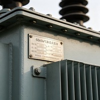 Transformador de Distribución de Energía Sumergido en Aceite de 66kV S9, Económico y Accesible