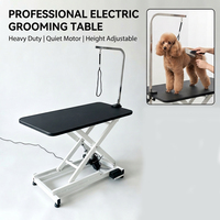 Table de toilettage motorisée professionnelle pour animaux de compagnie, station de toilettage électrique silencieuse pour chiens, table élévatrice pour vétérinaires et animaleries