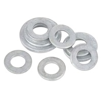 Custom Carbon Steel Color HDG-zinc Plated Lead Washers Plain Washer Flat Washer