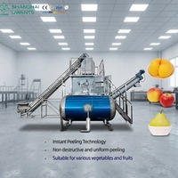 Industriële stoomschilmachine 304 roestvrij staal automatische aardappel wortel taro wortelgewassen CE ISO op maat gemaakt