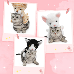 Giocattolo Realistico di Gatto in Peluche e Mini Macchina Artiglio con Accettatore di Banconote per Nuovi Design, Vendita all'Ingrosso - Product Image 2