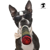 Jouet sonore interactif pour chien, auto-entretenant, en peluche verte, simulation de cigare, pour chiens élégants, vente en gros disponible