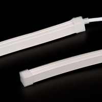 Bande lumineuse LED néon flexible en silicone étanche IP67 à CRI 95, personnalisable et dimmable, pour l'éclairage paysager des hôtels et chambres à coucher