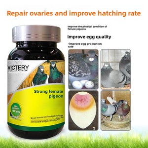 Médicament pour pigeons, complément alimentaire pour la santé des pigeons femelles, réduit les œufs à coquille molle et anormaux, durée de conservation de 2 ans - Product Image 4