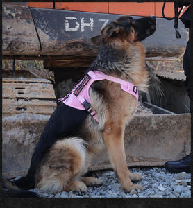 Layanan anjing dalam pelatihan Mesh Harness dengan Patch lembut udara Mesh bernapas rompi anjing taktis produsen besar Harness anjing - Product Image 5