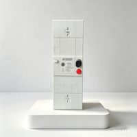 Interruptor Diferencial Francés TANHO H-DV075A 2P, Disyuntor Diferencial ELCB RCD, Protección Contra Sobrecarga y Cortocircuito