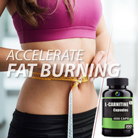Suplementos dietéticos Halal L-carnitina adelgazante quemador de grasa l-carnitina L CÁPSULAS de carnitina