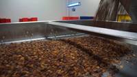 Ligne de processus complètement automatique de 2000 kg pour la manipulation des aliments