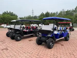 WELIFTRICH-Parabrisas plegable de 4 plazas, carrito de golf eléctrico con batería de litio de 72V, terreno rugoso, 4 asientos, carrito de golf todoterreno