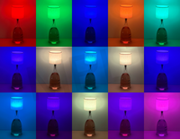 Lampe de table portable sans fil à LED RGB pour bouteille, moderne, à commande tactile, intensité réglable, batterie rechargeable, pour restaurant et hôtel
