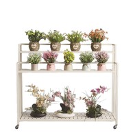 Support à fleurs mobile multi-niveaux en acier inoxydable pour plantes en pot, idéal pour l'intérieur, le jardin, le balcon – Chine