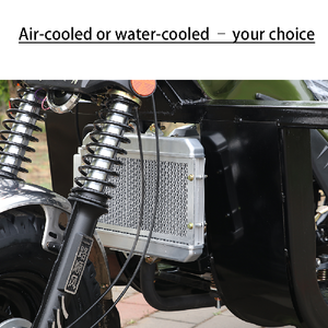 Triciclo Agrícola con Sidecar, Motor de Gasolina, Carrocería Abierta, Gran Capacidad de Carga para Uso Agrícola, Venta Caliente 2026 - Product Image 5