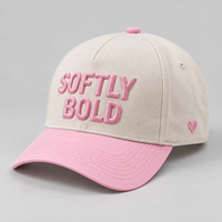 Casquette de baseball 5 panneaux en coton bicolore brodée en 3D avec logo personnalisé, réglable, pour hommes, pour sports de plein air, OEM ODM, vente en gros, usine