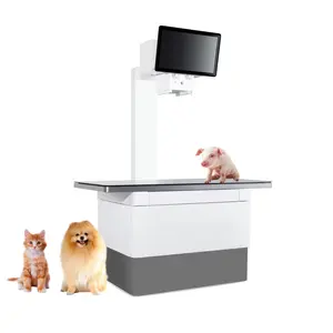 Vet DR dijital radyografi sistemi 32kw dokunmatik ekran X Ray veteriner dijital Xray makinesi hayvanlar için