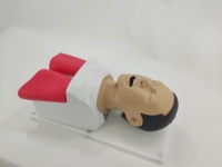 Maniquí Avanzado para Intubación Endotraqueal, Modelo para Entrenamiento en Escuelas de Medicina, Construcción en PVC y Plástico