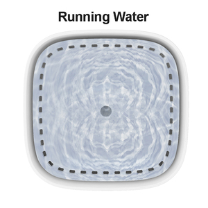 Máy Uống Nước Tự Động Cho Chó ZMaker, Đài Phun Nước Cho Chó Điện Thông Minh, Hàng Mới Về 2022 - Product Image 2