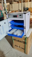 Incubateur domestique mini automatique intelligent à double alimentation pour 36 œufs – Offre d'usine à prix abordable