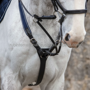 Coraza de cuero de alta calidad de Leyla para equitación, logotipo personalizado, diseño personalizado de estándar internacional duradero - Product Image 3