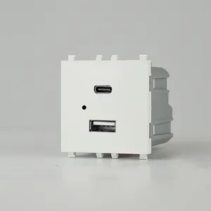 Customized Italian Standard Multi-Functional Wall Switch Double USB A+C Charging power socket