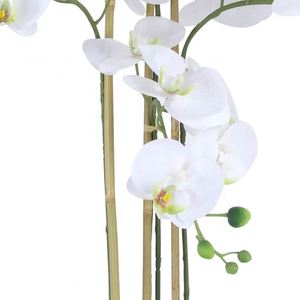 กล้วยไม้พิมพ์ 3 มิติ สัมผัสเหมือนจริง พร้อมกระถาง ของตกแต่งบ้าน กล้วยไม้ประดิษฐ์สำหรับตกแต่งภายในและภายนอก - Product Image 5