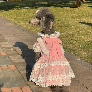 Vestido de Princesa Color Rosa Caramelo para <span class=keywords><strong>Perros</strong></span> Medianos/Grandes, Modelo 6546, para Todas las Estaciones, Marca Big Dog, para Golden Retriever y Labrador - Product Image 3