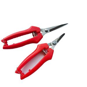 Sécateurs de précision Diamond, lame en acier inoxydable de 30 mm, structure papillon en forme de coude, pour la taille des fruits et légumes - Product Image 3