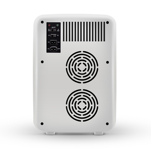 10 litres électrique Américain personnalisé maison chaude froid <span class=keywords><strong>petite</strong></span> refrugerator mini réfrigérateur - Product Image 4
