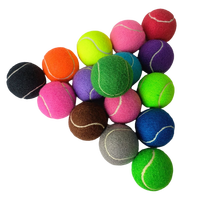 Balles de tennis colorées d'entraînement avancé de haute qualité avec sac en maille balles de pratique sportive jouant aux balles de tennis