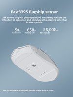 AJAZZ AJ139pro Mouse Gaming Komputer Ringan Paw3395 Nirkabel & Berkabel Mode Ganda untuk Tangan Kanan, Dapat Diprogram, Esports